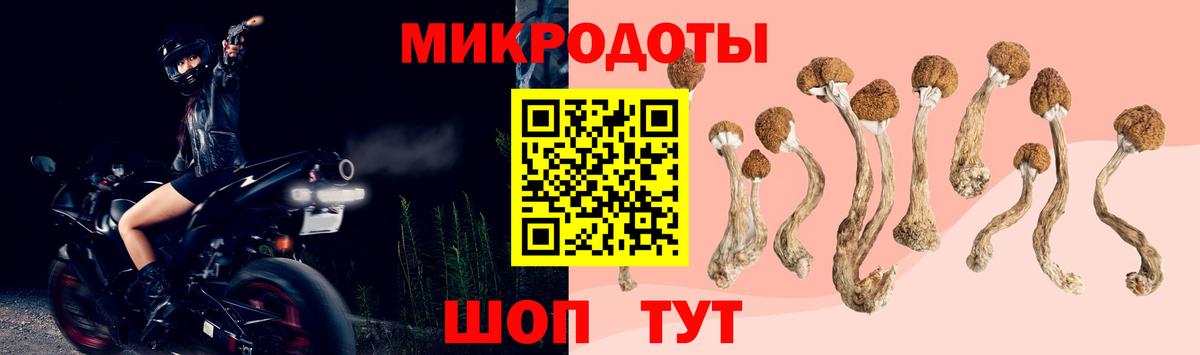 Псилоцибиновые грибы Cubensis  Вход с VPN  Ипатово 